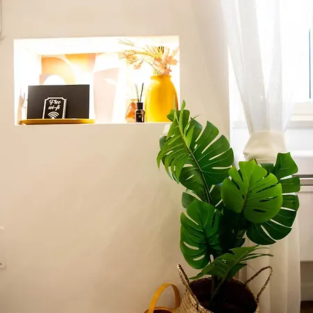 Apartment Residenza Dei Papi - Luxury House *